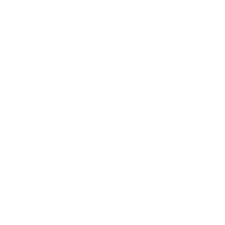 Logo le DD blanc